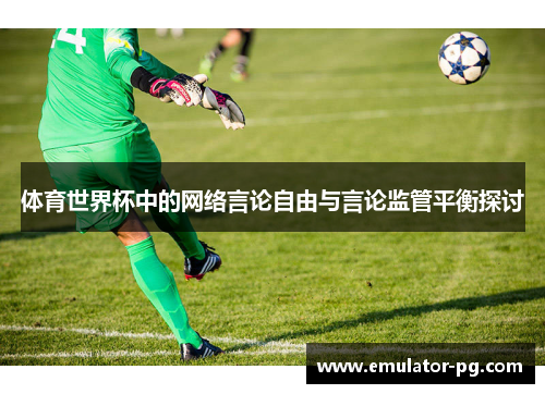 体育世界杯中的网络言论自由与言论监管平衡探讨