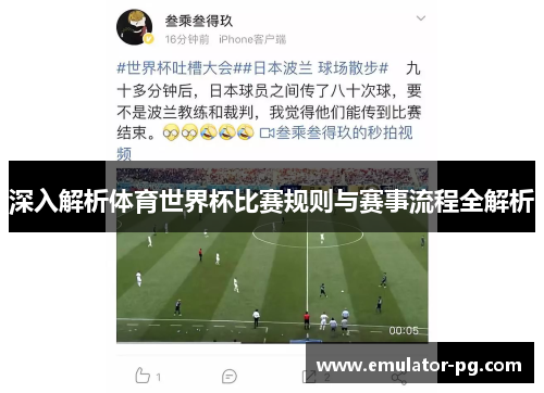 深入解析体育世界杯比赛规则与赛事流程全解析