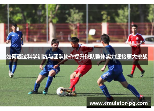 如何通过科学训练与团队协作提升球队整体实力迎接更大挑战