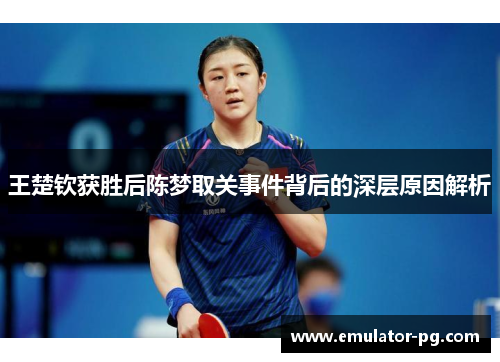 王楚钦获胜后陈梦取关事件背后的深层原因解析