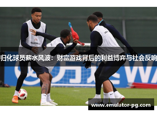 归化球员薪水风波：财富游戏背后的利益博弈与社会反响