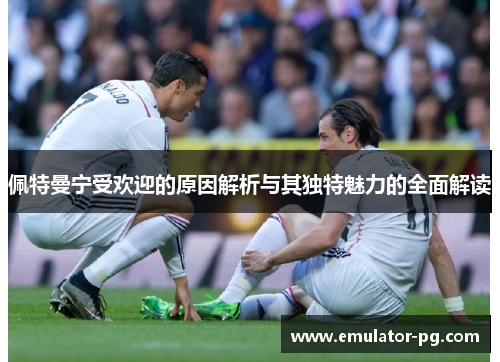 佩特曼宁受欢迎的原因解析与其独特魅力的全面解读