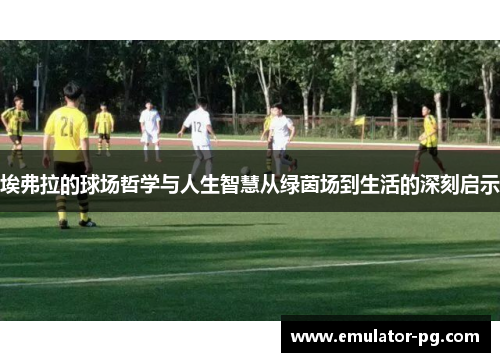 埃弗拉的球场哲学与人生智慧从绿茵场到生活的深刻启示
