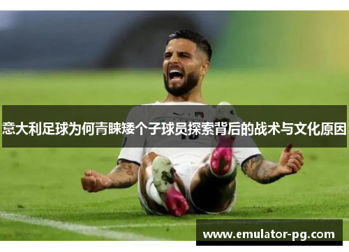 意大利足球为何青睐矮个子球员探索背后的战术与文化原因